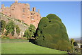 SJ2106 : Giant Yew Topiary at Powis Castle by Jeff Buck