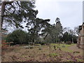 St Andrew, Grafham: churchyard (f)