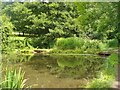 Alton - River Wey