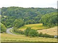 Alton - Basingstoke Road