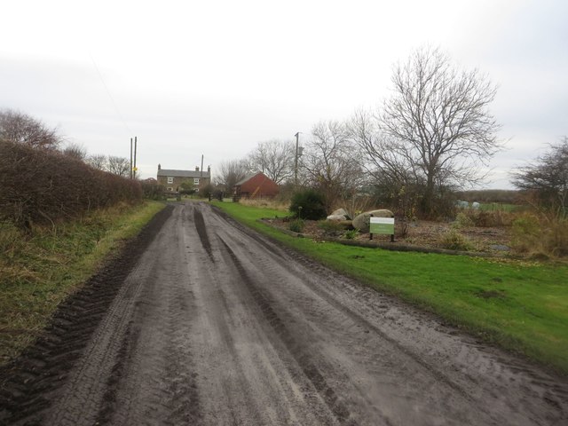 Track at West Field farm
