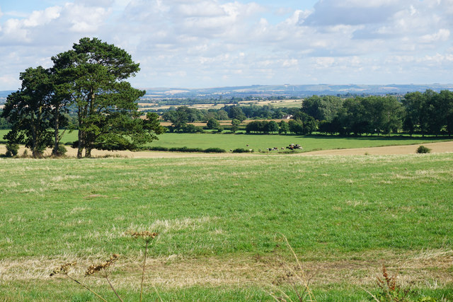 Fields below Monkton Farleigh