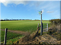 The Chiltern Way at Burroughs Grove