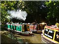 Woking - Narrowboat Gathering 2016