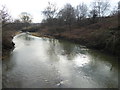 River Roding near Chigwell