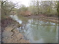 River Roding near Chigwell