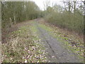 TQ4394 : Path in Roding Valley Meadows Local Nature Reserve by Marathon