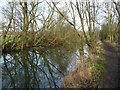 Reflected trees, Elsecar branch, Dearne & Dove Canal