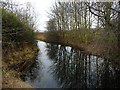 The Dearne & Dove Canal, west of Junction Bridge