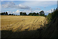 Harvested field near Monkton Farleigh