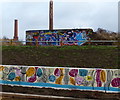 Abbey Meadows next to the River Soar