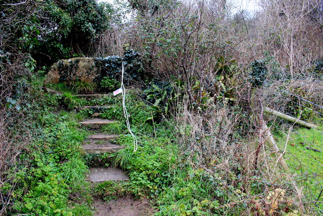 Footpath Steps near Bothenhampton