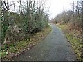 Elsecar Greenway, looking west