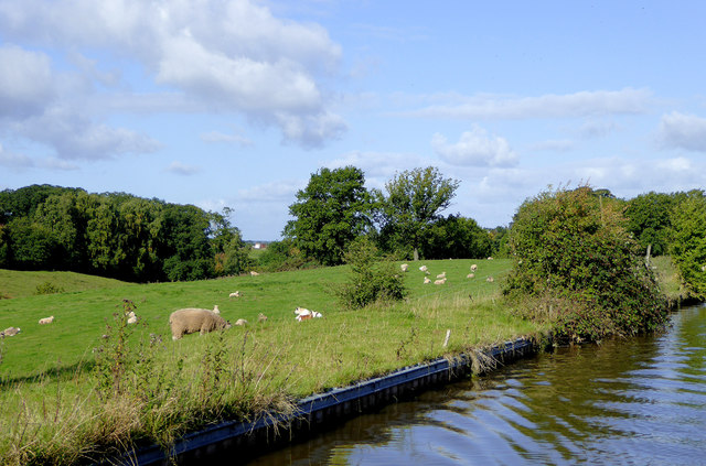 Canalside grazing north of Adderley, Shropshire