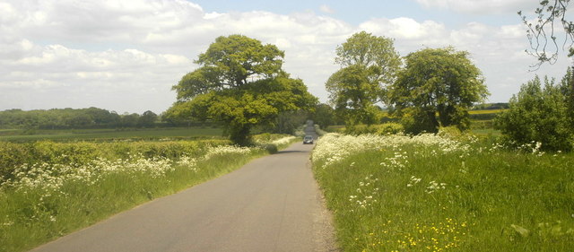 The Fosse Way, nr Grittleton, Wiltshire 2013