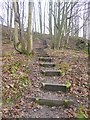 Teesdale Way in Great Wood