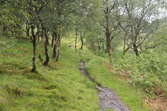 Path through Ledard Glen