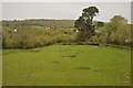 SX7060 : Devon farmland by N Chadwick