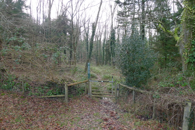 The Wessex Ridgeway path entering Hole Common