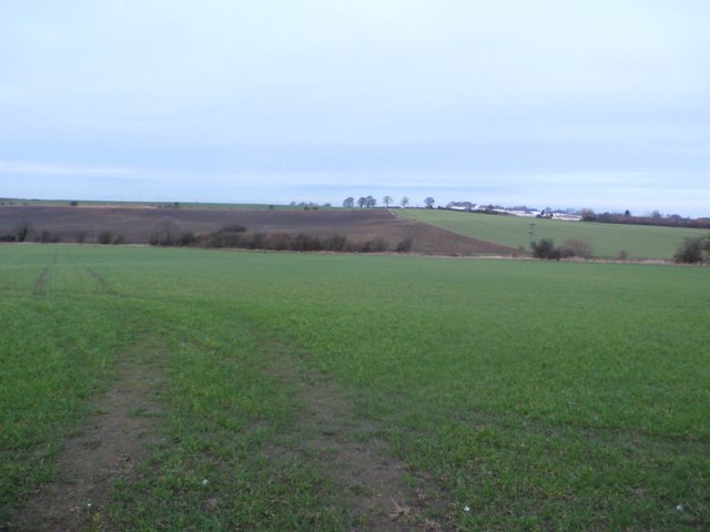 Fields near Three Nooks
