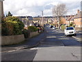 Stony Lane - viewed from Springfield Avenue