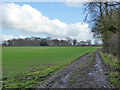 SU3626 : Farm track along field edge by Robin Webster
