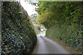 Sunken lane (Fordbrook Lane)