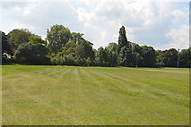 TQ2576 : Hurlingham Park by N Chadwick
