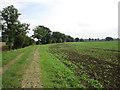 Bridleway to Corby Road