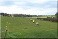 Farmland at Mossblown