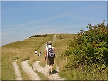 SP9616 : Ivinghoe Hills by Colin Smith