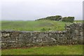 Arable land, Scremerston Town Farm