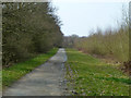 TQ4893 : Path, Hainault Forest by Robin Webster