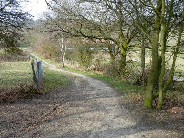 Path towards Hainault Forest woods © Robin Webster cc-by-sa/2.0 ...