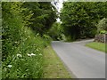 The Newton Stewart road passes the pond