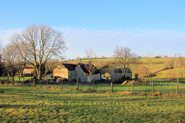 buckham family farm golden retriever