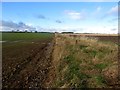 Arable field boundary