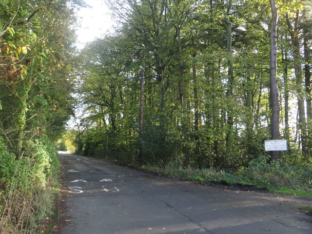 Lane to North Whitehouse Farm