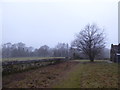 St Stephen, Hammerwood: churchyard (e)