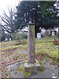 TQ5139 : St. Martin of Tours, Ashurst: churchyard (d) by Basher Eyre