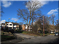 Houses on Newlay Grove (1)