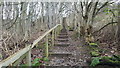Steps on footpath between Tynedale Park and Farnley Grange