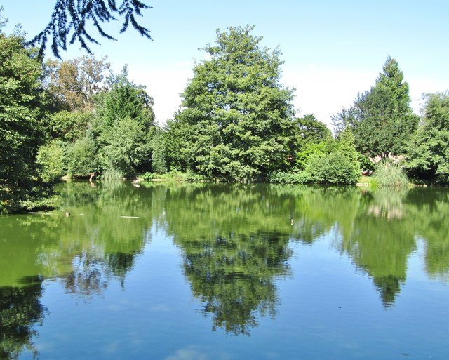 Merrist Wood - Pond