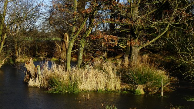 Pond with small island W of Newton Hall Farm near Dean Row