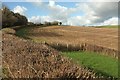 Stubble field at Frenchstone