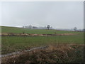 Farmland on Dodworth Green