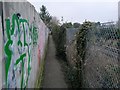 Boscombe: just some of the graffiti on footpath F06