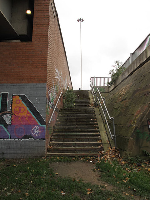 Steps up from the riverbank