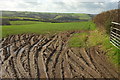 Farmland east of George Nympton