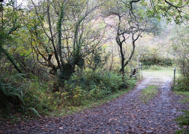 Access track to 'The Hut'